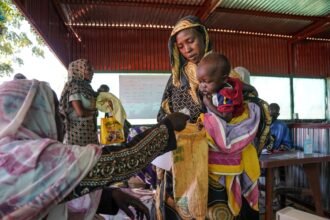 Famine spreading in war-torn Sudan, UN-backed report says