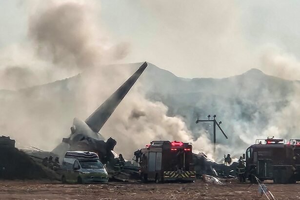 At least 85 killed in S Korea as plane crashes on landing at Muan airport