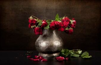 You could be killing your retirement by neglecting your IRA