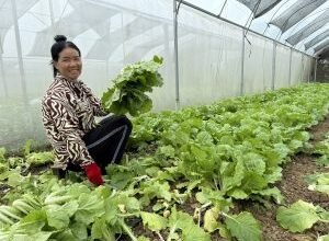 Macquarie bets impact investing can fill an Asian financial access gap for the ‘missing middle’