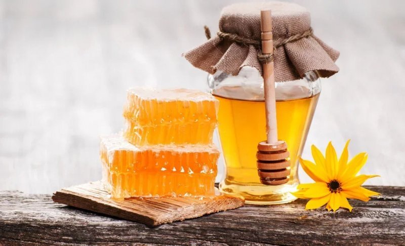 Kyrgyzstan’s honey exports more than double in Q1 2026