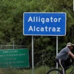 Detainees at Florida’s Alligator Alcatraz transferred elsewhere as detention centre likely to be closed, says ICE