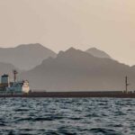 Hormuz closure strands almost 1,200 cargo ships with $125bn worth of goods